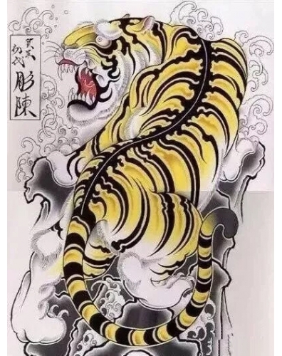 老虎纹身图案精选案例，插画案例精选